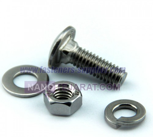 Carriage Bolt with Nut and Washer
